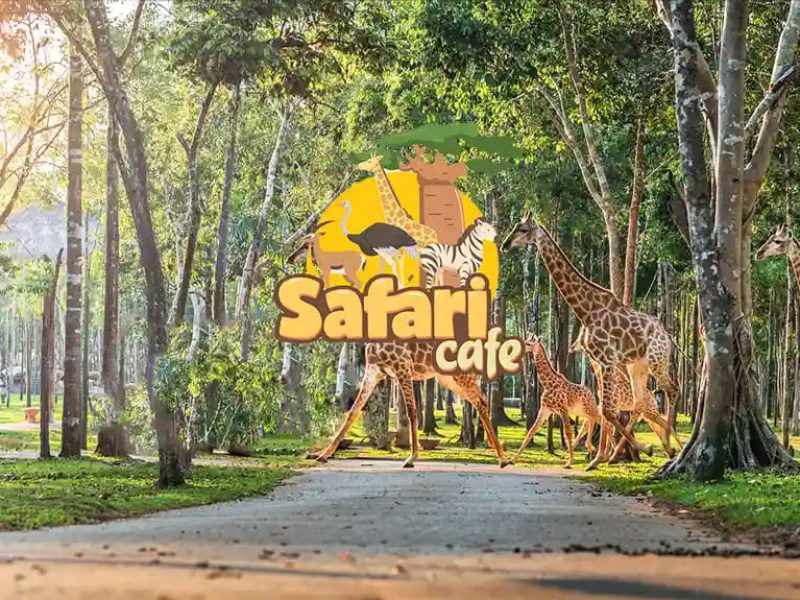 Ve-Safari-Cafe-NovaWorld-Phan-Thiet